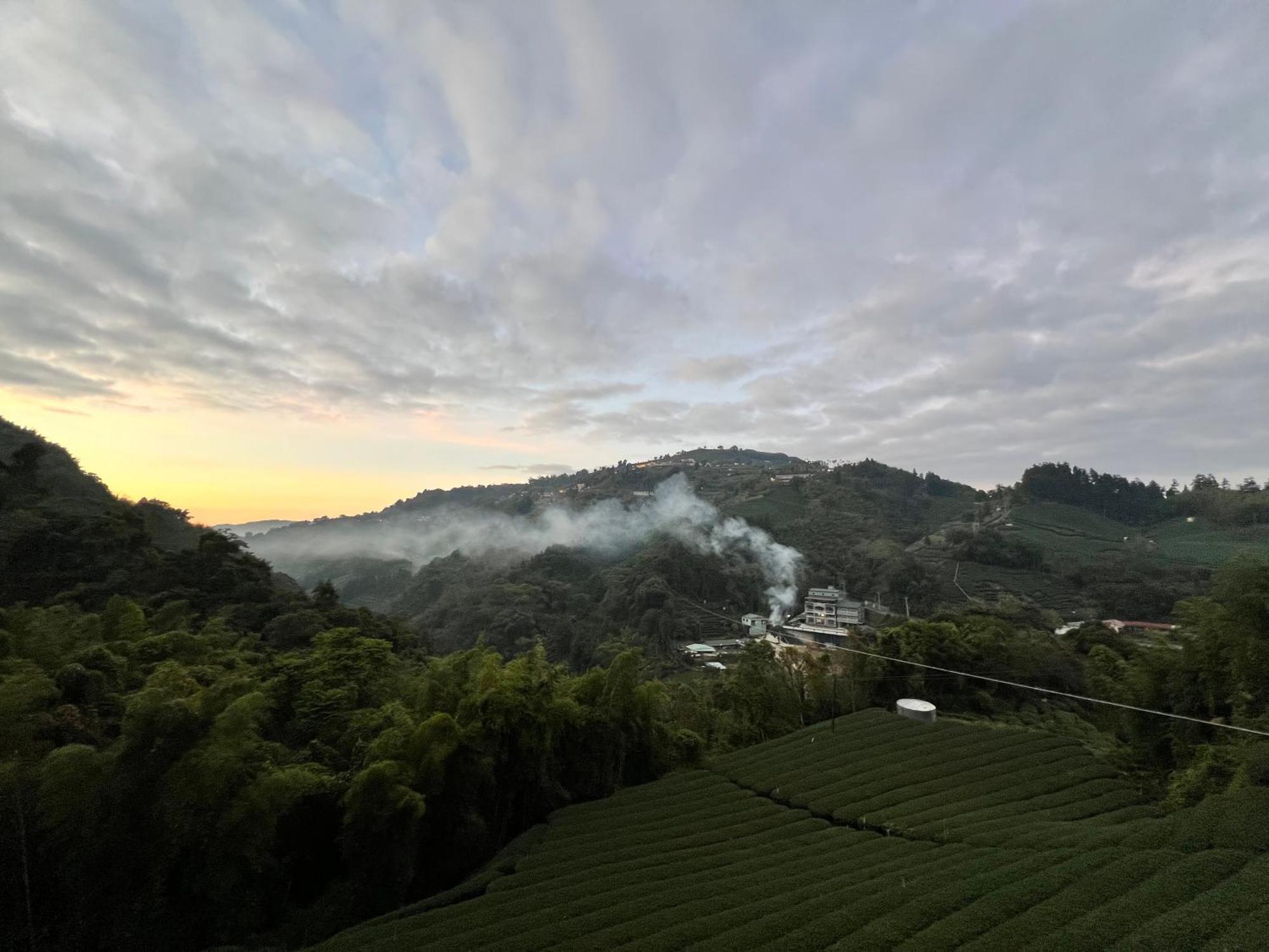 De Ren Tea Gardens Apartman Mejsan Kültér fotó