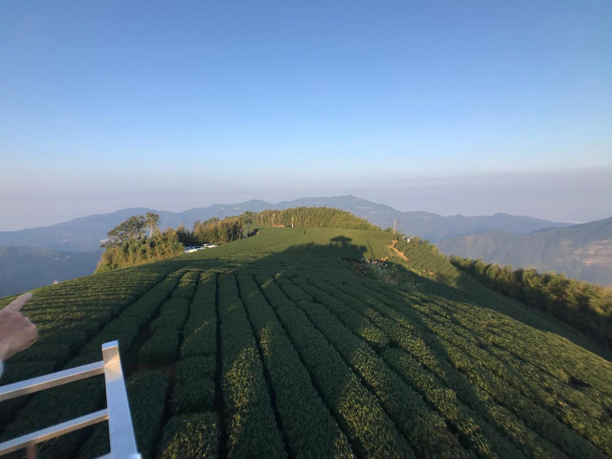 De Ren Tea Gardens Apartman Mejsan Kültér fotó