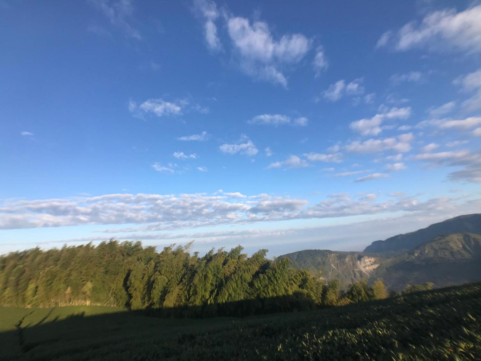 De Ren Tea Gardens Apartman Mejsan Kültér fotó