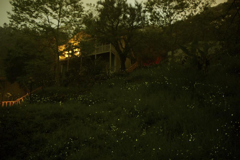 De Ren Tea Gardens Apartman Mejsan Kültér fotó