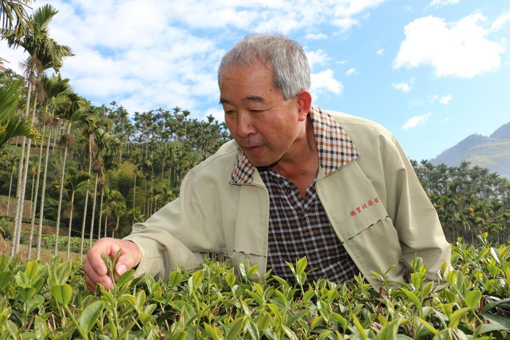 De Ren Tea Gardens Apartman Mejsan Kültér fotó
